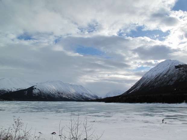 5 Pelerinaj Alaska, feb 2009 093 (800x600)