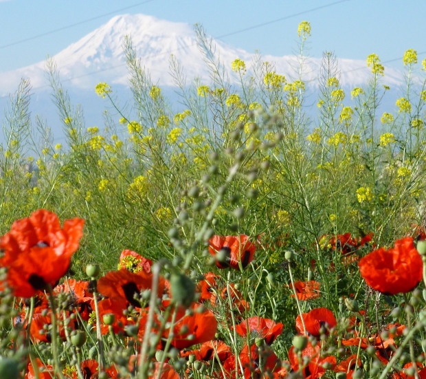 Muntele Ararat(1280x1139)